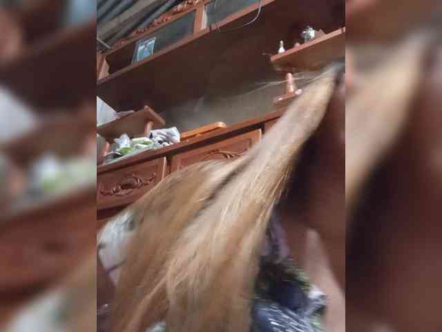 Kyrene webcam