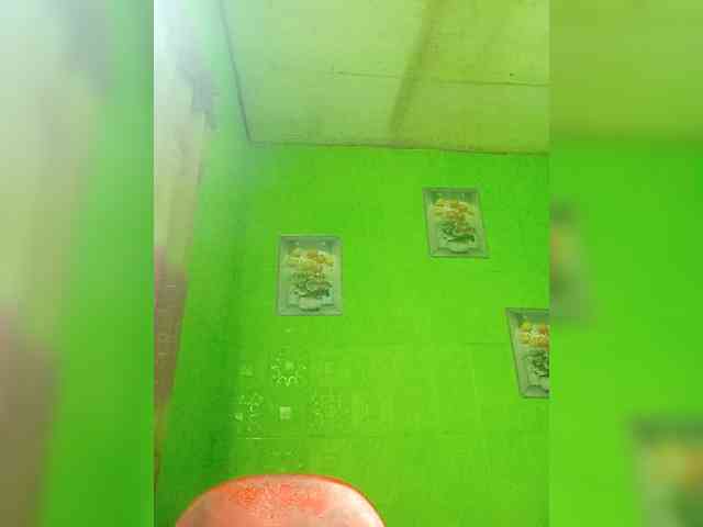 Kyrene webcam