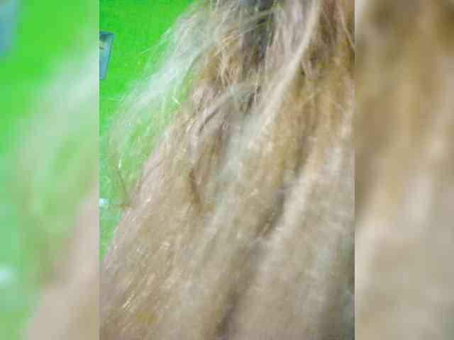 Kyrene webcam