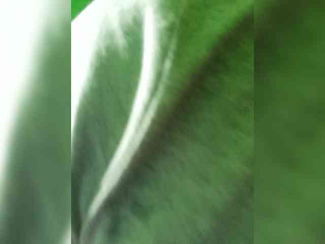 Kyrene webcam