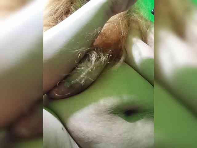 Kyrene webcam
