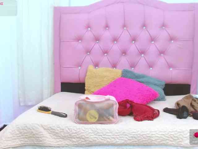 Steixy webcam