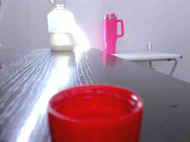 Steixy webcam