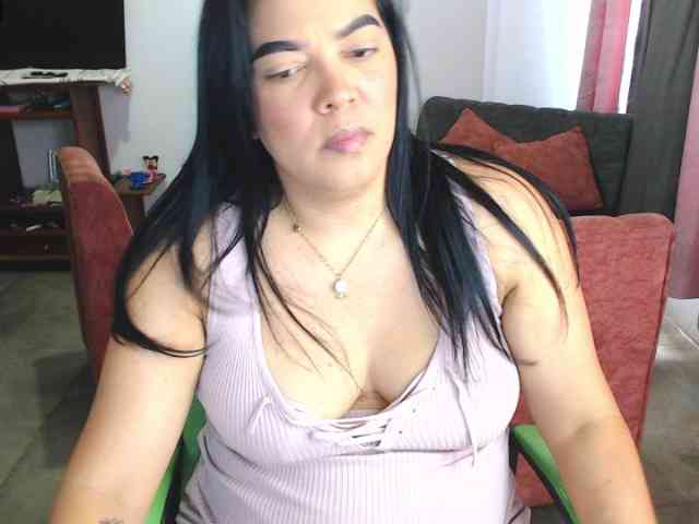 Steixy webcam