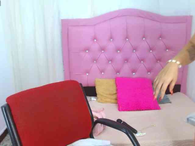 Steixy webcam