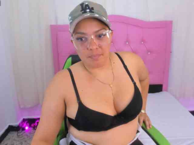 Steixy webcam