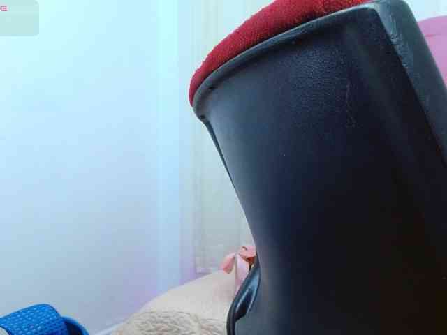 Steixy webcam