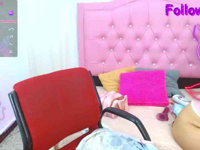 Steixy webcam