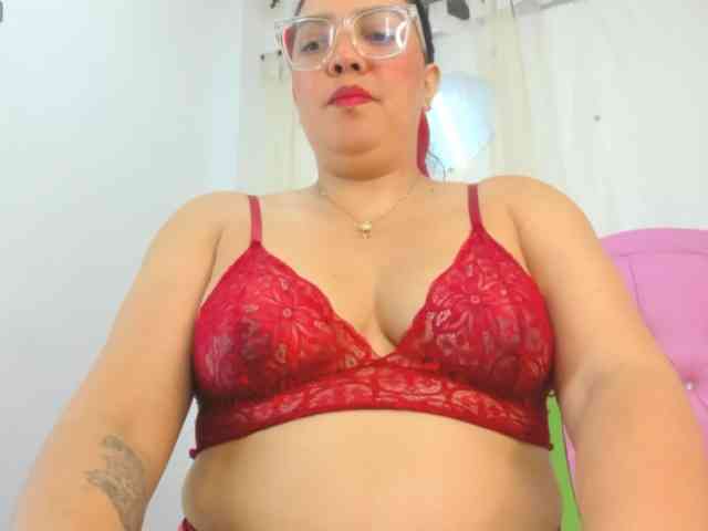 Steixy webcam