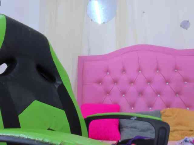 Steixy webcam