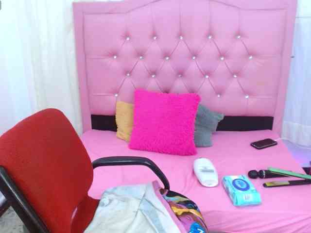 Steixy webcam