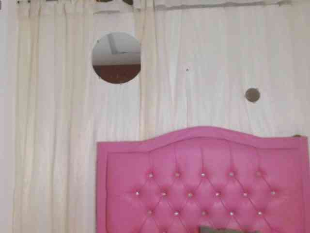 Steixy webcam