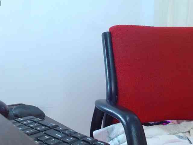 Steixy webcam