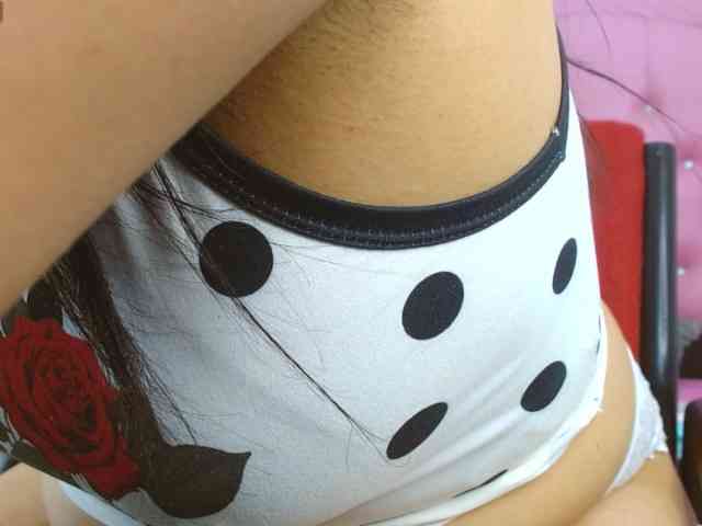 Steixy webcam