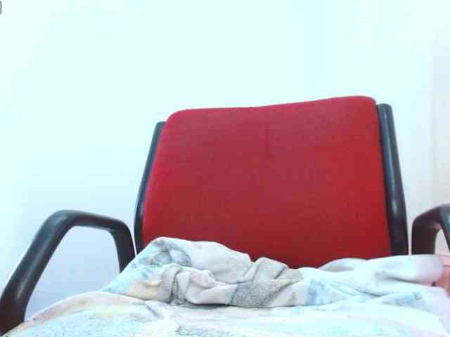 Steixy webcam