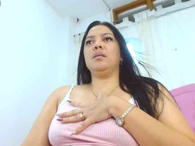 Steixy webcam