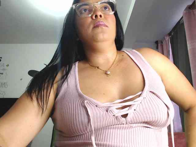 Steixy webcam