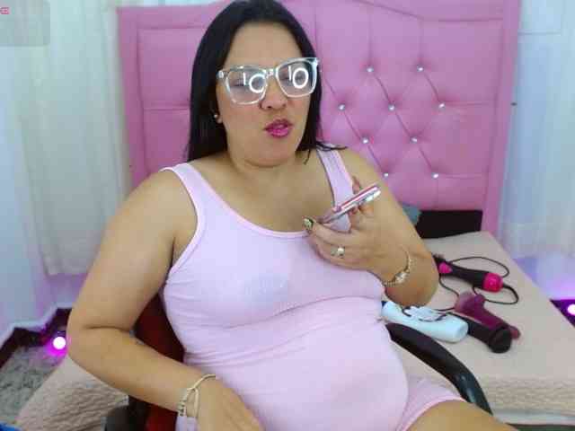 Steixy webcam