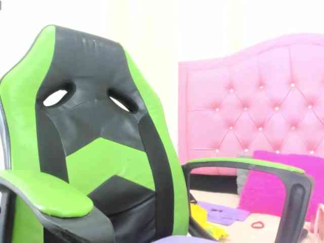 Steixy webcam