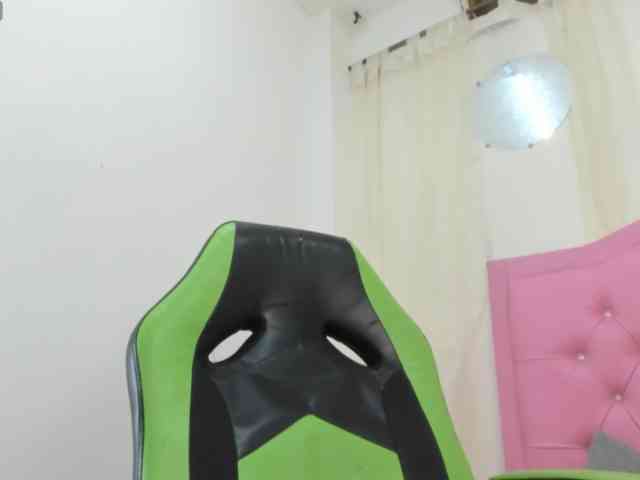 Steixy webcam