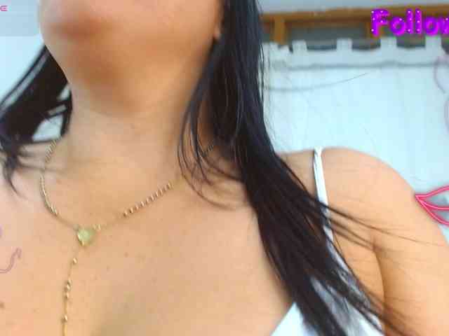 Steixy webcam