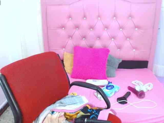 Steixy webcam