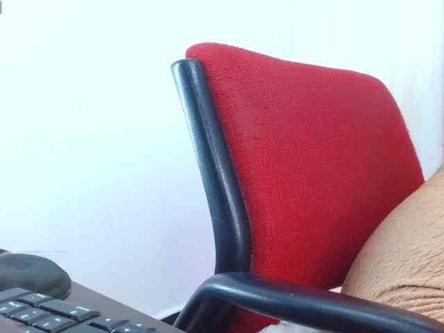 Steixy webcam