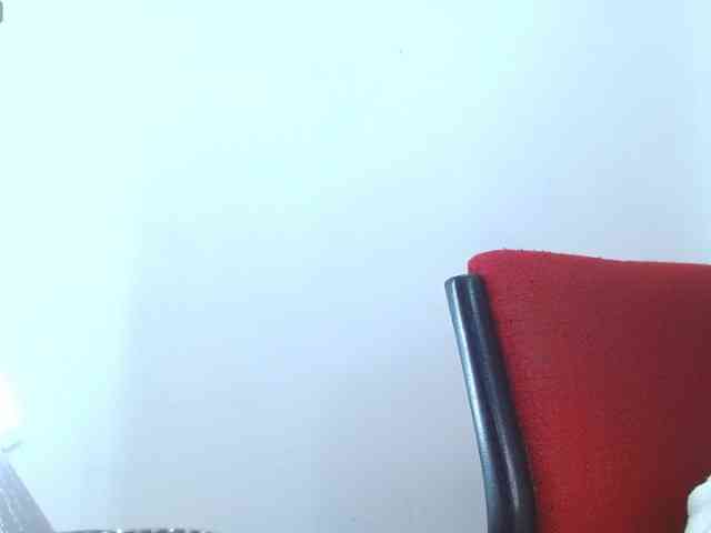 Steixy webcam