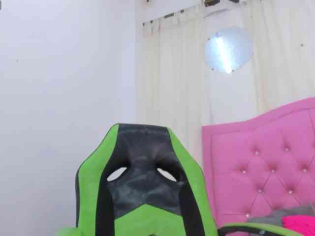 Steixy webcam
