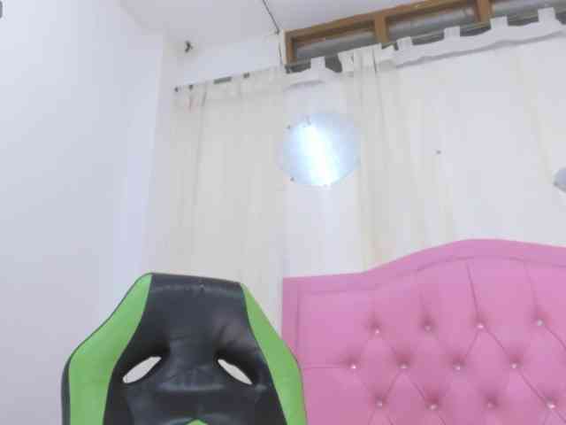 Steixy webcam
