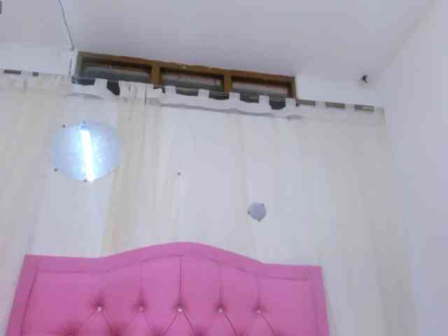 Steixy webcam