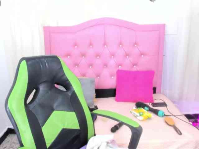 Steixy webcam