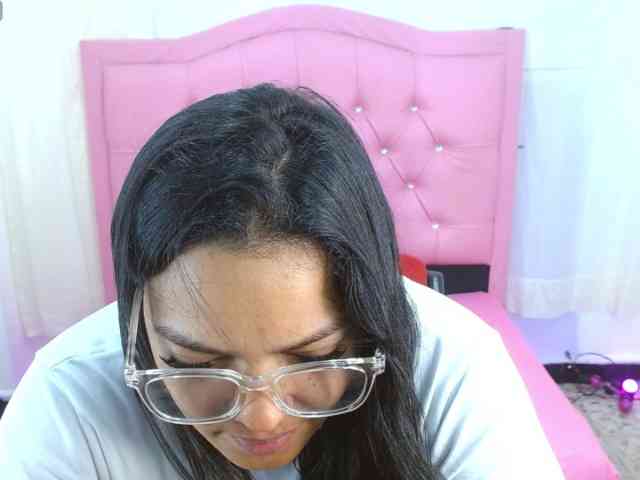 Steixy webcam