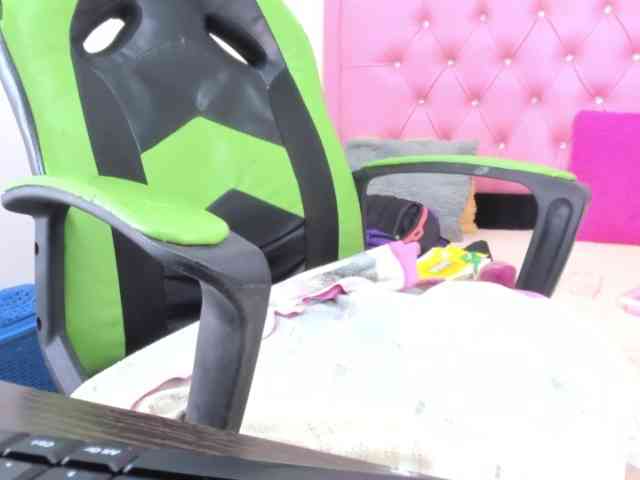 Steixy webcam