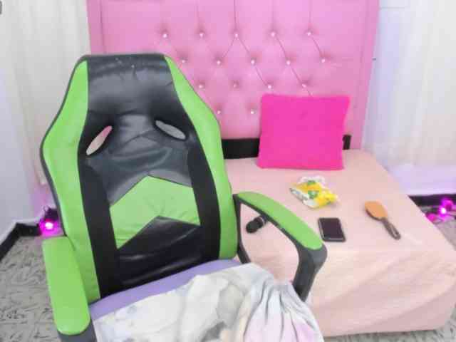 Steixy webcam