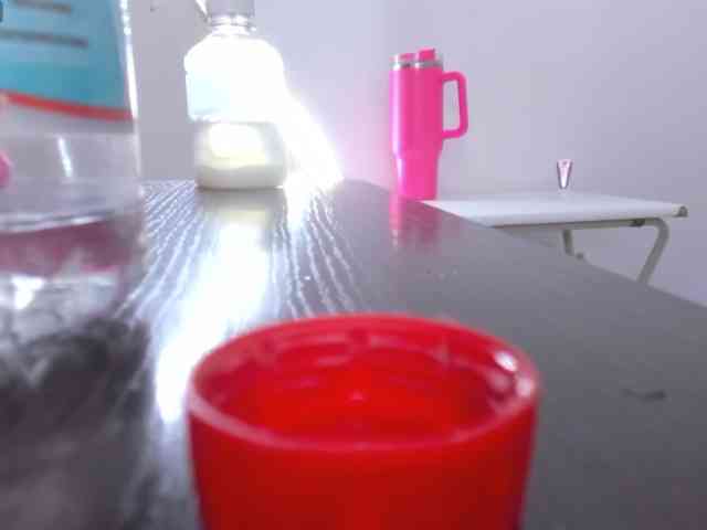 Steixy webcam
