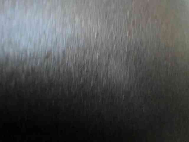 Paulacums webcam