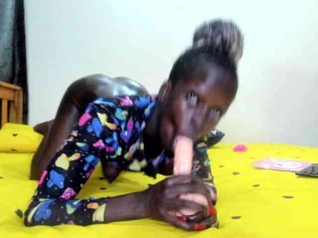 Paulacums webcam