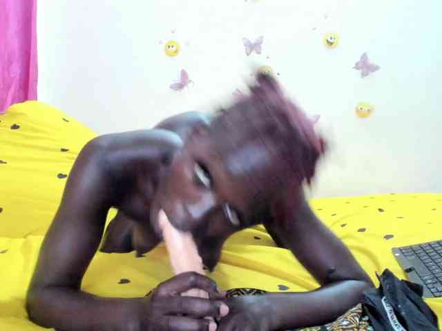 Paulacums webcam