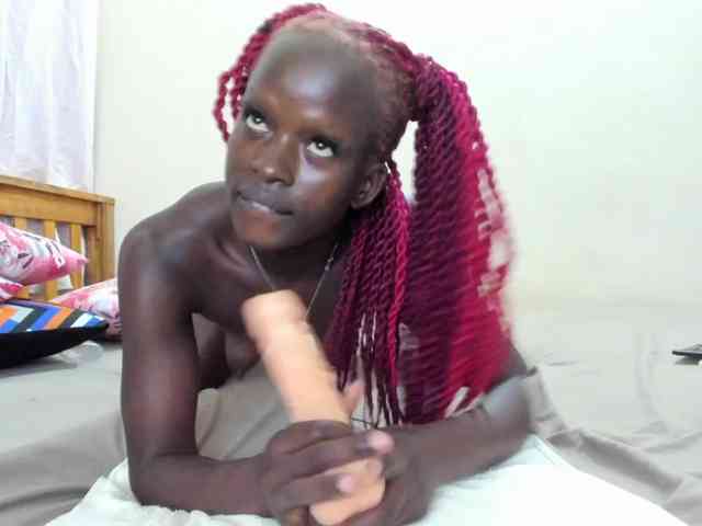 Paulacums webcam