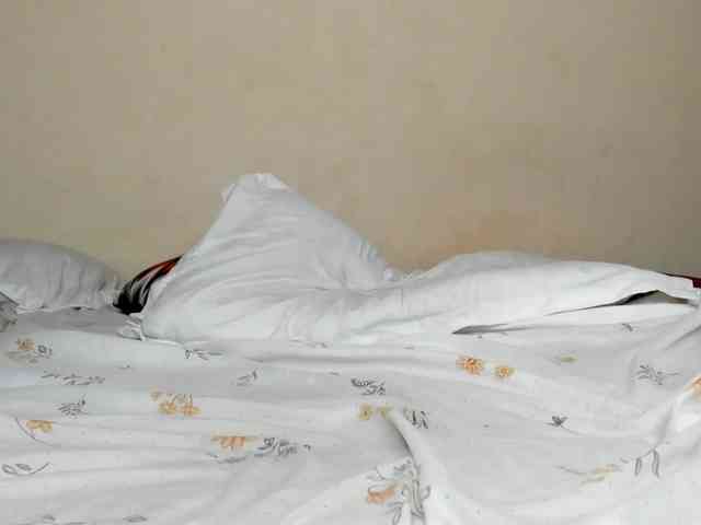 Paulacums webcam