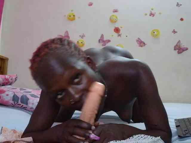 Paulacums webcam
