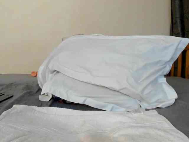 Paulacums webcam