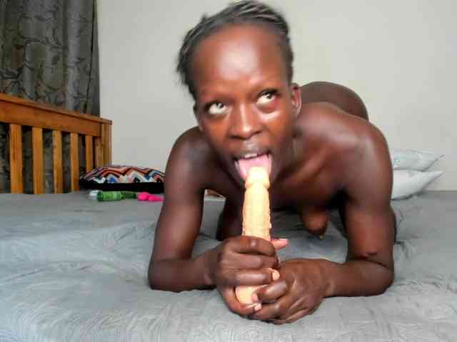 Paulacums webcam