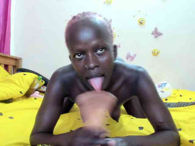 Paulacums webcam
