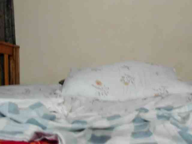 Paulacums webcam
