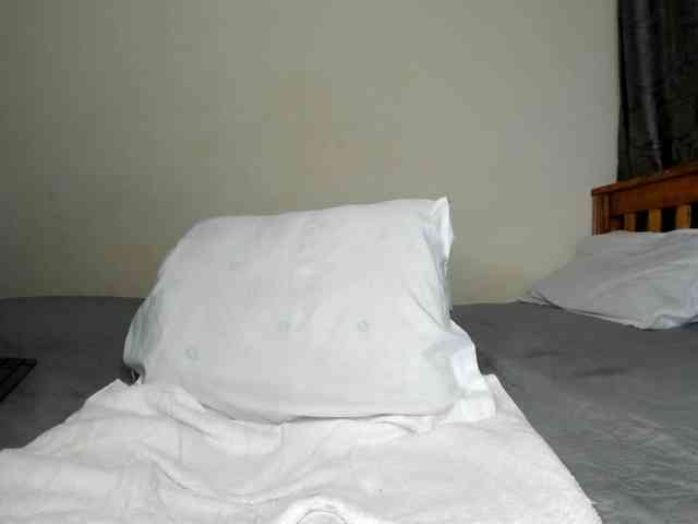 Paulacums webcam