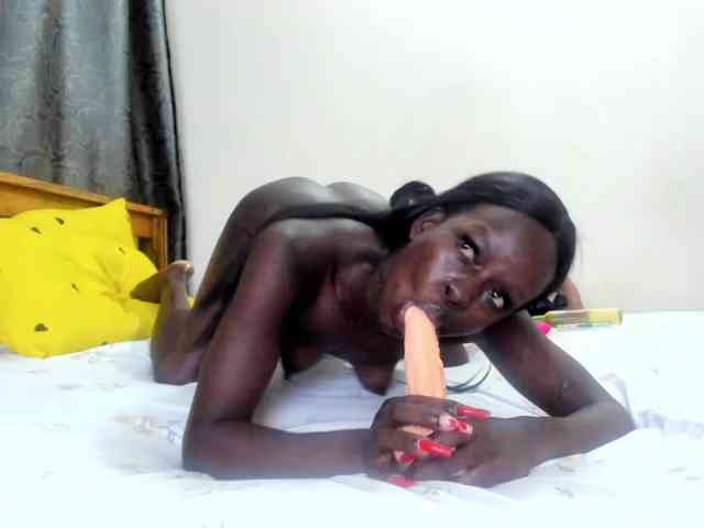 Paulacums webcam