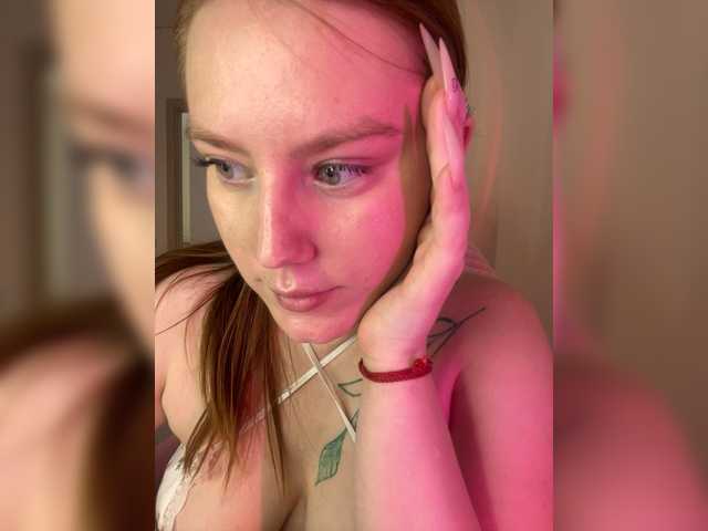 DollVice Live Cam on BongaCams