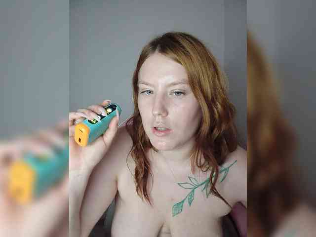 DollVice webcam
